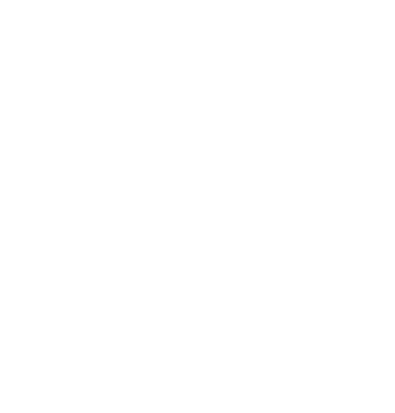 DS Viana do Castelo Axis